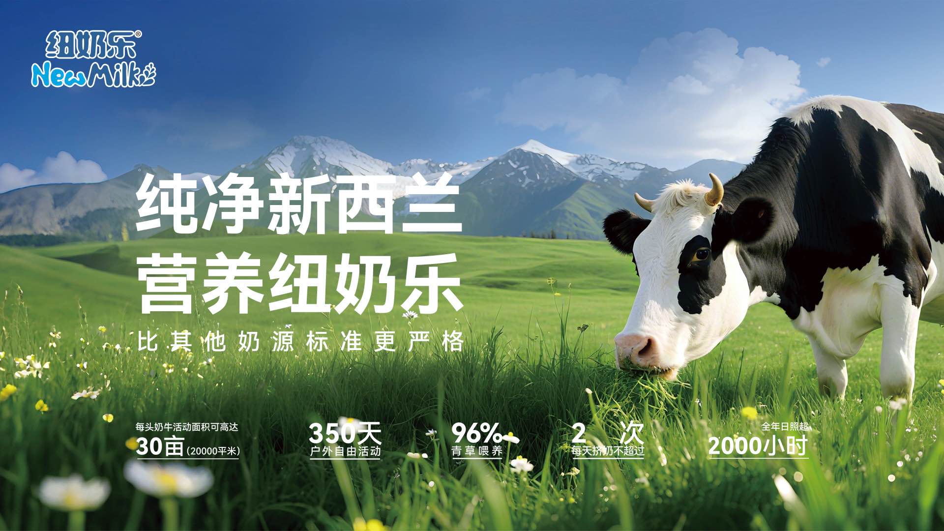 纯净新西兰,营养纽奶乐——纽奶乐 NewMilk 品牌主图